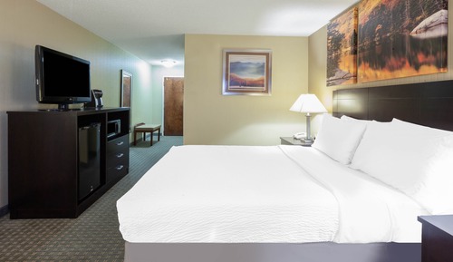 Chambre, 1 grand lit, accessible aux personnes à mobilité réduite, non-fumeurs (Mobility)