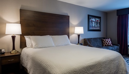 Chambre Standard, 1 très grand lit et 1 canapé-lit, non-fumeurs (No Pets)