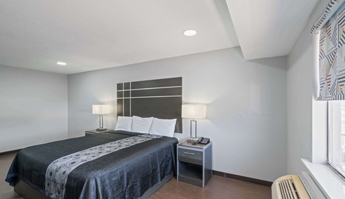 Chambre Deluxe, 1 très grand lit, non-fumeurs, four à micro-ondes