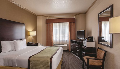 Chambre, 1 grand lit, vue parc (Mobility/Hearing Impaired Accessible)