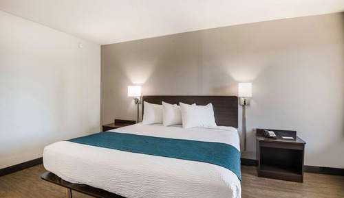 Chambre Standard, 1 très grand lit, non-fumeurs, réfrigérateur