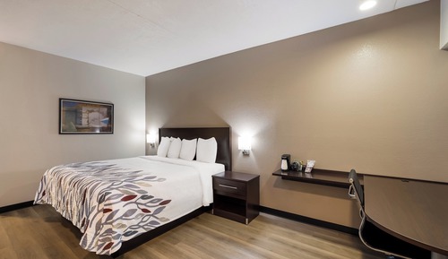 Chambre Supérieure, 1 très grand lit (Smoke Free)
