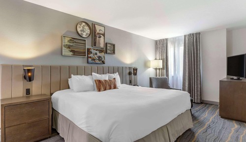 Suite, 1 très grand lit et 1 canapé-lit, non-fumeurs (Wet Bar)