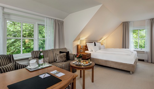 Chambre Deluxe, 1 très grand lit