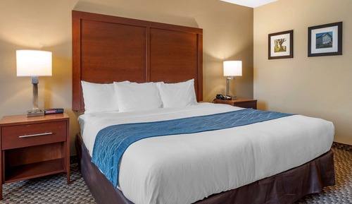 Chambre Standard, 1 très grand lit, non-fumeurs