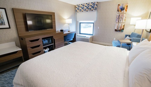 Chambre, 1 très grand lit, accessible aux personnes à mobilité réduite (Roll-In Shower)