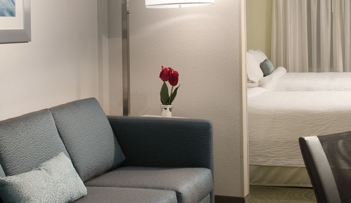 Suite, 1 très grand lit et 1 canapé-lit, non-fumeurs (Mobility/Hearing Accessible, Tub)