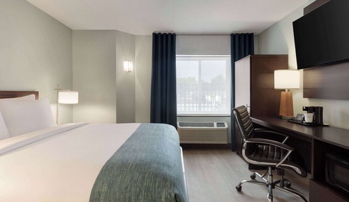 Chambre, 1 grand lit, accessible aux personnes à mobilité réduite (Mobility, Roll-in Shower)