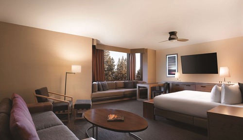 Suite Junior (Sugar Pine)