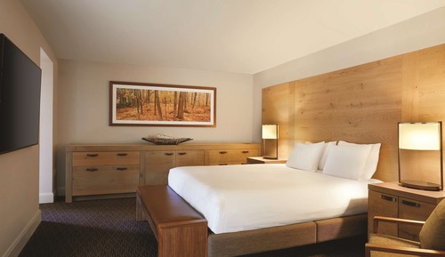 Suite, 1 chambre