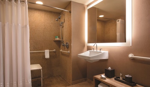 Chambre, 1 très grand lit, accessible aux personnes à mobilité réduite (with Shower)