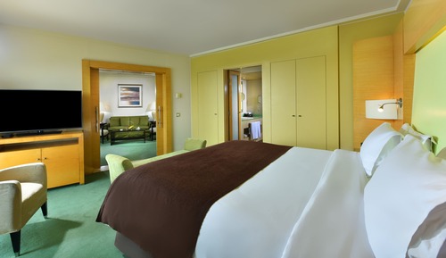Suite Junior, 1 très grand lit (Partial Nile View)