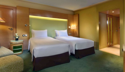 Chambre, 2 lits une place (Magnifique - Nile View)