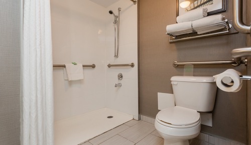 Chambre Standard, 1 grand lit, douche accessible en fauteuil roulant