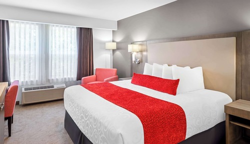 Chambre Standard, 1 très grand lit, non-fumeurs