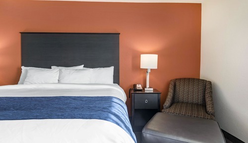 Chambre Standard, 1 très grand lit, non-fumeurs