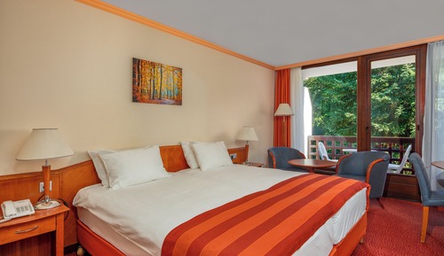 Chambre Supérieure avec lits jumeaux