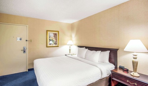 Chambre Standard, 1 très grand lit, non-fumeurs (Pet Friendly)