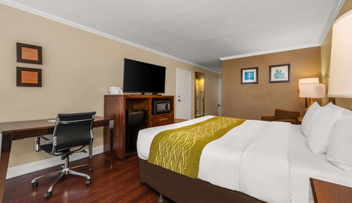 Chambre Standard, 1 très grand lit, non-fumeurs, vue océan