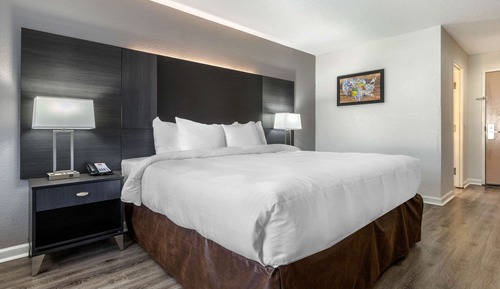 Chambre, 1 très grand lit, accessible aux personnes à mobilité réduite, non-fumeurs