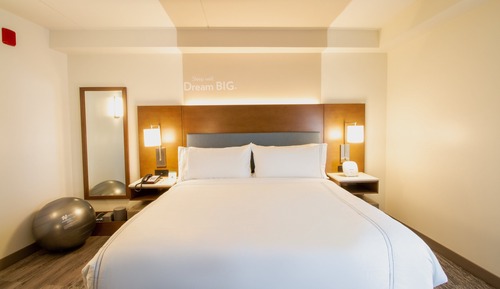 Suite, 1 très grand lit et 1 canapé-lit