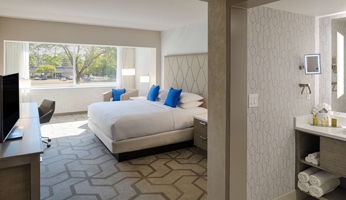 Chambre Deluxe, 1 très grand lit