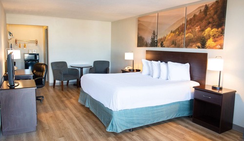 Chambre, 1 très grand lit, accessible aux personnes à mobilité réduite, non-fumeurs (Mobility)