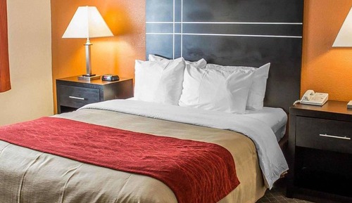 Chambre Simple Deluxe, 1 très grand lit