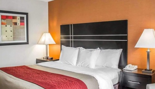 Chambre Simple Luxe, 1 très grand lit