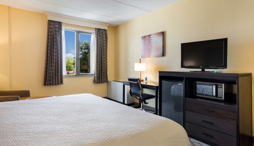 Chambre Standard, 1 très grand lit, non-fumeurs
