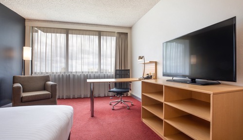 Chambre Premium, 1 très grand lit