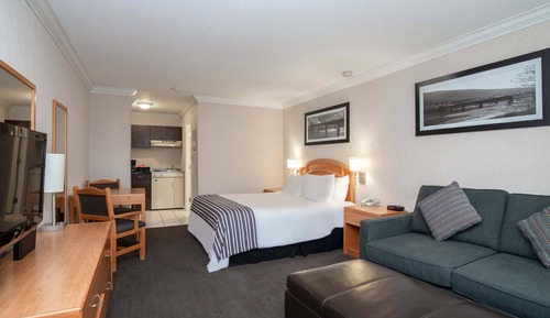 Studio, 1 très grand lit, cuisine (Sofa Bed, Monashee Building)