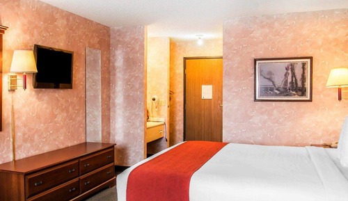 Chambre Standard, 1 très grand lit, non-fumeurs