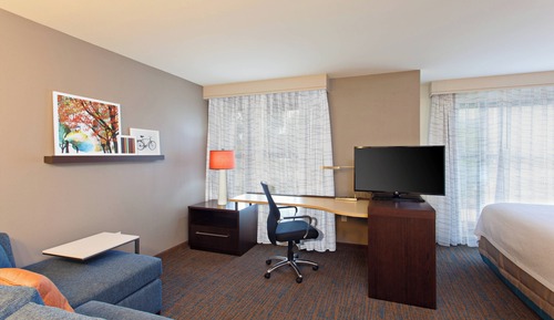Studio, 1 très grand lit et 1 canapé-lit (Mobility/Hearing Accessible, Tub)