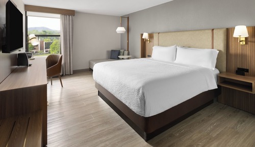 Chambre Standard, 1 très grand lit