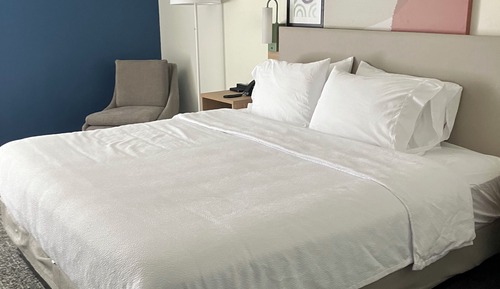 Chambre, 1 très grand lit, accessible aux personnes à mobilité réduite (Mobility, Roll-In Shower)