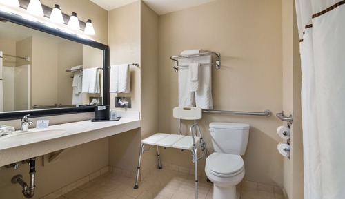 Chambre Standard, 1 très grand lit, accessible aux personnes à mobilité réduite (Walk-in Shower)