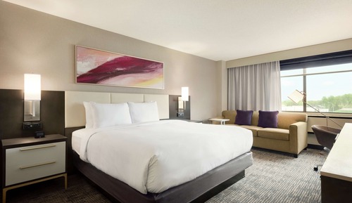 Chambre, 1 très grand lit et 1 canapé-lit, accessible aux personnes à mobilité réduite (Hearing)
