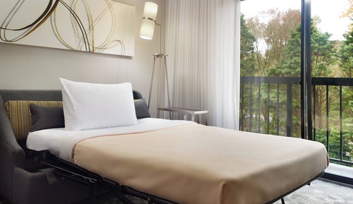 Chambre, 1 très grand lit et 1 canapé-lit (Mobility/Hearing Access, Roll-In Shwr)