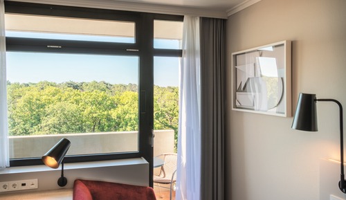 Chambre Standard, 1 grand lit (Furnished Balcony)