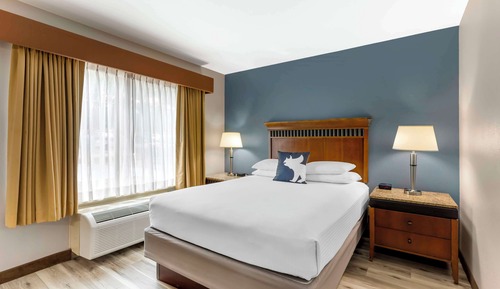 Chambre Standard, 1 grand lit, accessible aux personnes à mobilité réduite, non-fumeurs