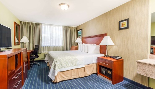 Chambre Affaires, 1 très grand lit