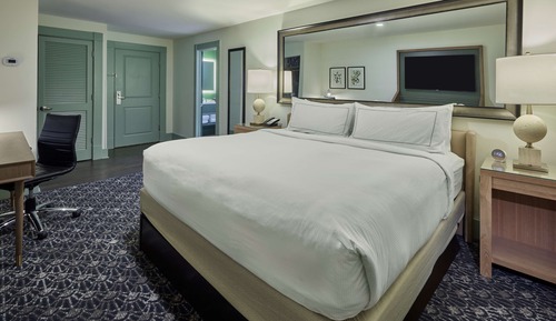 Chambre, 1 très grand lit, accessible aux personnes à mobilité réduite (Roll In Shower)