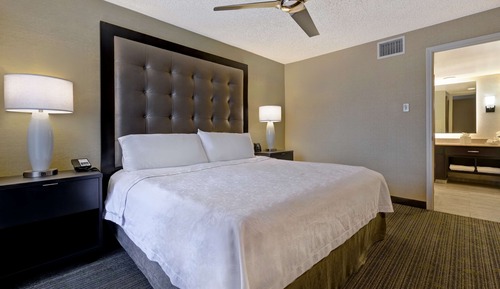 Suite, 1 très grand lit et 1 canapé-lit, non-fumeurs
