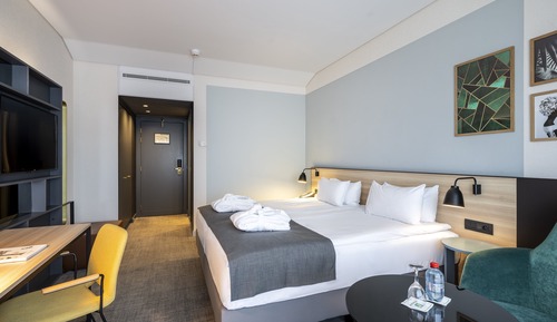 Chambre Standard, 1 très grand lit