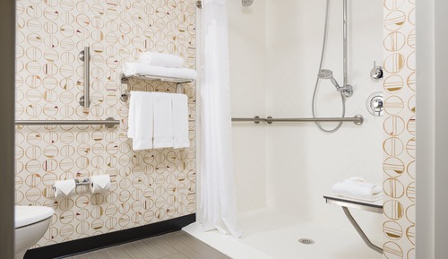Chambre Standard, 1 grand lit (Communications, Roll-In Shower)