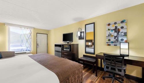 Chambre Standard, 1 très grand lit, non-fumeurs, réfrigérateur et four à micro-ondes