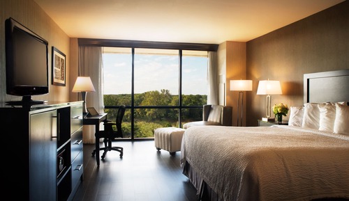 Chambre Standard, 1 très grand lit