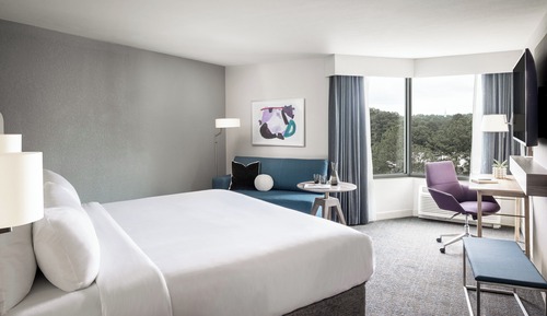 Chambre Standard, 1 très grand lit, accessible aux personnes à mobilité réduite (Communications)