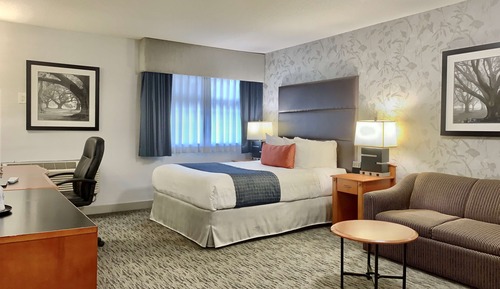 Chambre Standard, 1 grand lit, non-fumeurs, coin cuisine (with Sofabed)